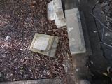 image of grave number 835154